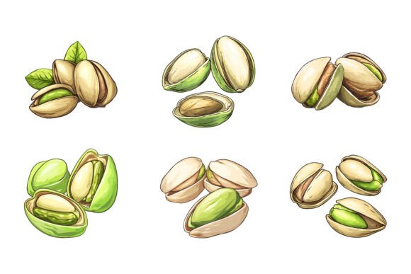 Elevate Your Projects with the Pistachios Nut Set: A Creative Powerhouse