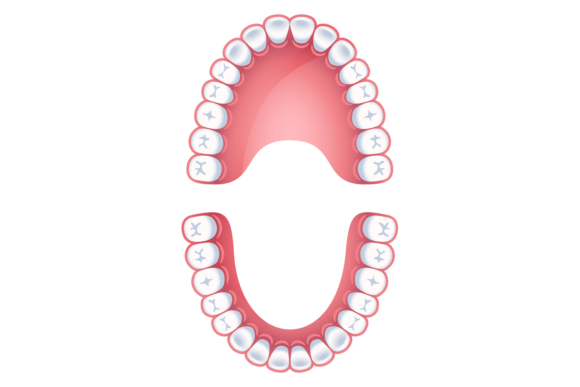 Harnessing Teeth Infographics Templates for Effective Orthodontic Communication
