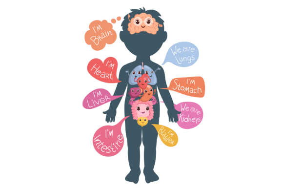 The Strategic Power of Internal Organs in a Childish Body: A Visual Toolkit for Engagement